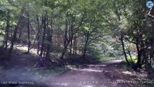 Still0614_00026