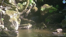 Still0614_00066