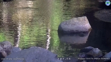 Still0614_00067