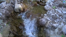 Still0614_00070