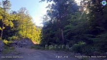 Still0614_00080