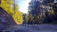 Still0614_00082