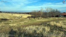 Still0105_00034