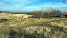 Still0105_00036