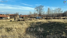 Still0105_00037