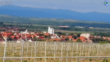 savinac00