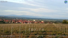 savinac06