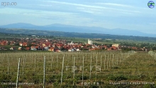 savinac07