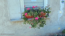 Still1001_00013