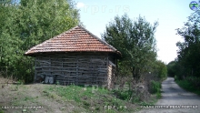 PIC_0007