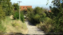 PIC_0012