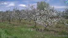 Still0418_00121