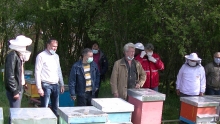 PIC_0018