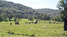 PIC_0016
