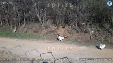 20190406_165240