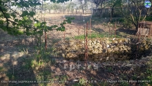 20190406_172959