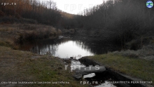 DSCN3959