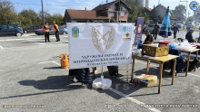 IMG_20241013_110509